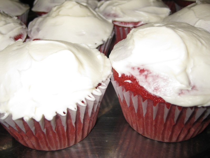 Red Velvet Cupcakes, Frosted Red Velvet Cupcakes, Frosted